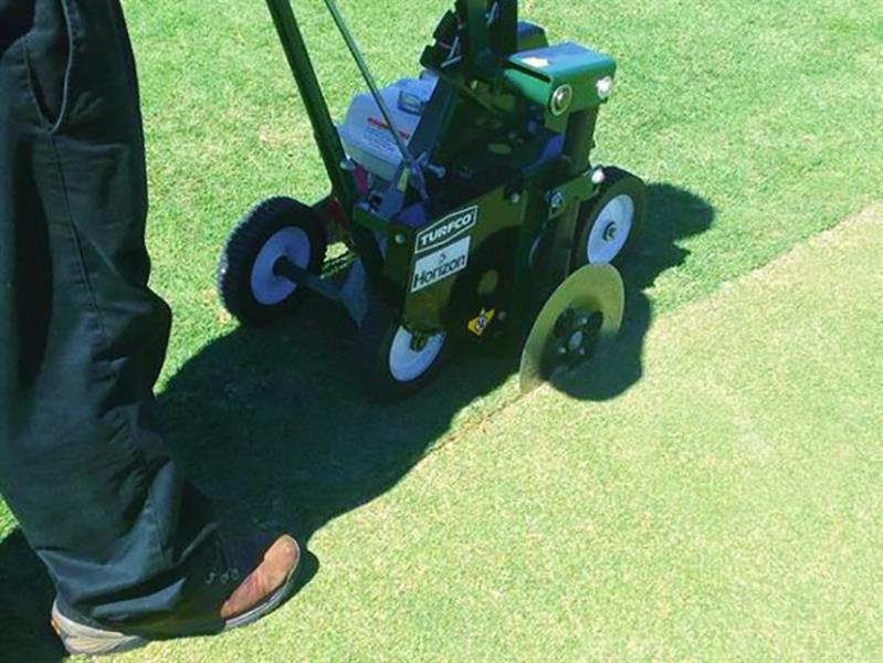 https://www.turfco.com/images/thumbnail.aspx?img=/webres/catalog/xl/Edger-CircularBlade-Greens-800x600.jpg