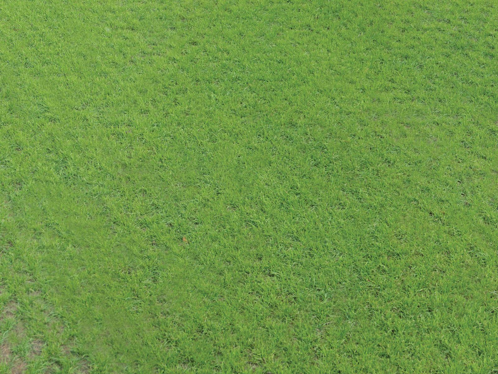After seeding with Turfco TriWave.