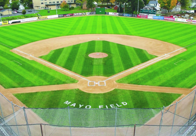 field of the year