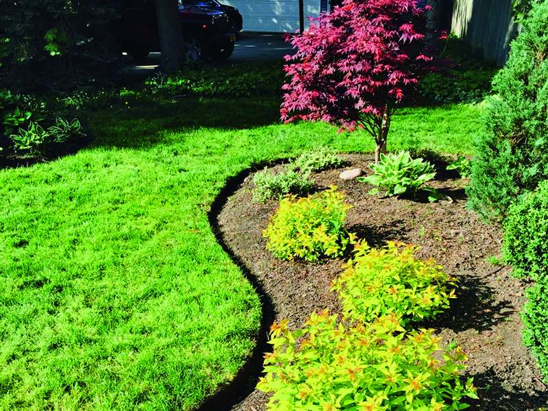 Get great results on all types of edging projects